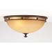 Durango Two Light Flush Mount in Tawny Port