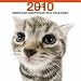 2010ǯ���� THE CAT �������� ����ꥫ�󥷥硼�ȥإ��� 