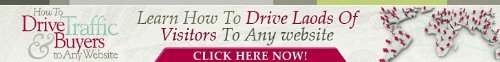 How to Drive Traffic to Your Site Quickly without Using Adwords or Search Engines 31d66rMYUBL. SL500 internet home business: How to Drive Traffic to Your Site Quickly without Using Adwords or Search Engines