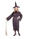 Witchy Witch Plus Size Costume
