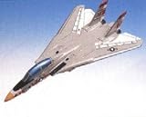 Grumman F-14a Tomcat CJR1172F3R