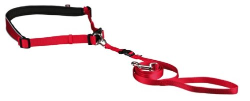 Ceinture ventrale avec laisse, rouge, pour chien de petite et moyenne taille Ceinture ventrale avec laisse, rouge, pour chien de petite et moyenne taille