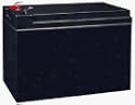 Schwinn 12 Volt 10 Ah Electric Scooter Battery (Premium)