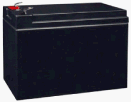 Schwinn 12 Volt 10 Ah Electric Scooter Battery (Premium)