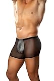 1st Fantasies Male Power Silver Streak Insert Short