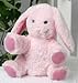 8" Pink Bunny Make Your Own *NO SEW* Stuffed Animal Kit w/ T-shirt