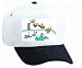 White Cap with pool, birds, swimming