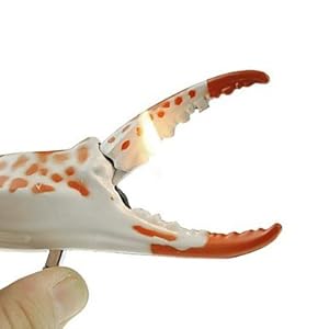 Amazon.com: Luy Creative Lobster Crab Claw Metal Lighters Toys: Toys