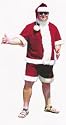 Santa Suit, Sunny Santa Adult Costume