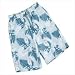OP Big Fish Short Sky 11-12 (JL)