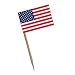 American Flag Picks