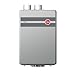 Rheem RTGH-95DVP Prestige Indoor Direct Vent Liquid Propane Condensing Tankless Water Heater for 3 Bathroom Homes