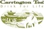 Carrington Black Tea, 100 Round Bags
