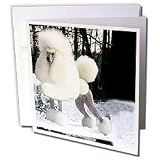 Dogs Poodle - Poodle - Greeting Cards-6 Greeting Cards with envelopes