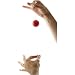 Obedient Ball