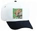 White Cap with forage, primate, monkey