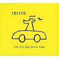 Let the Dog Drive Home