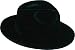 Black Fedoras 12 pk.