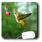 Birds - Hummingbird - Mouse Pads