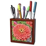 Patricia Sanders Flowers - Perfect Peach Zinnia Flower- Macro Photography - Tile Pen Holders-5 inch tile pen holder
