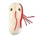 GIANT Microbes - Salmonella (Salmonella typhimurium) - Plush Toy
