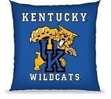 KENTUCKY WILDCATS 27 X27 CLASSIC FLOOR PILLOW (BIE)