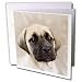 Dogs Mustiff - Bullmastiff Puppy - Greeting Cards-12 Greeting Cards with envelopes