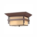Harbor Collection 11 Wide Outdoor Ceiling Light
