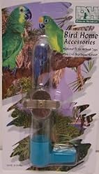 Prevue Pet Products 6in Glass Tube Bird Feeder 1 per card Assorted Colors