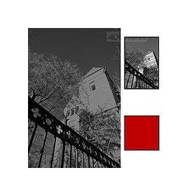 Hoya 55Mm Red #25 Glass Filter