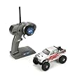 LOSI 1/24 MICRO 4X4 TRAIL TREKKER RTR