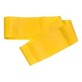 Champion Sports Fitness Loop - Medium Resistance