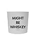 Funny Guy Mugs Might Be Whiskey Travel Tumbler with Removable Insulated Silicone Sleeve, White, 16-Ounce
