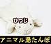 可愛いクマさん「アニマル湯たんぽ（ヒツジ　ホワイト）」湯たんぽにかわいいぬいぐるみのカバーが付きました。