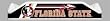 Florida State Seminoles - Beach Pole Caddy