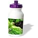 Dogs Labrador Retriever - Just One More KISS - Water Bottles