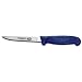 Victorinox Cutlery 5-Inch Narrow Boning Knife, Blue Fibrox Handle with Microban