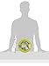 Sencha Naturals Green Tea Mints, Bombay Chai, 1.2-Ounce Canister