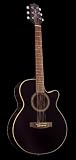 Takamine G Series EG260C-BL FXC Acoustic Electric Guitar, Black