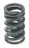 Sealed Power VS-521 Valve Spring