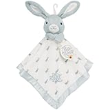 Lambs & Ivy Peter Rabbit Snugglie, Boy (Discontinued by Manufacturer)