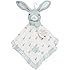 Lambs & Ivy Peter Rabbit Snugglie, Boy (Discontinued by Manufacturer)