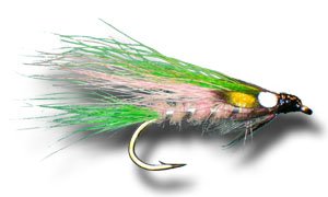 Little Rainbow Trout Fly Fishing Fly