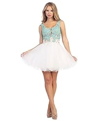 A-line Lace Illusion Sheer Applique Scoop Neck Tulle Sleeveless Basque   Waistline Party Dress/Mini Dress 