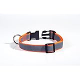 Petflect Reflective Dog Collar Small