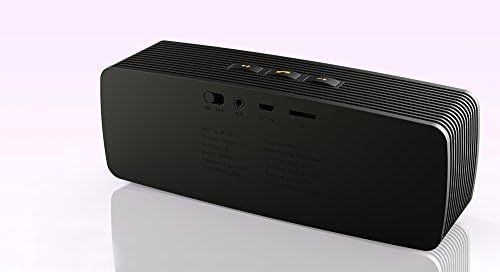 Dodigi Wireless Bluetooth Rechargeable Portable Stereo Audio Speaker (Black))