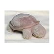 Cloud B Baby Turtle Rattle