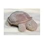 Cloud B Baby Turtle Rattle