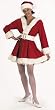Perky Pixie Claus Christmas Costume