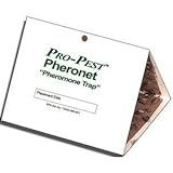 Pantry Moth Traps - Set of Three